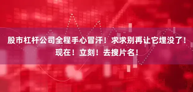 股市杠杆公司全程手心冒汗！求求别再让它埋没了！现在！立刻！去搜片名！