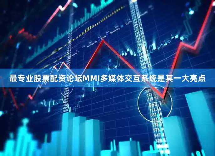 最专业股票配资论坛MMI多媒体交互系统是其一大亮点